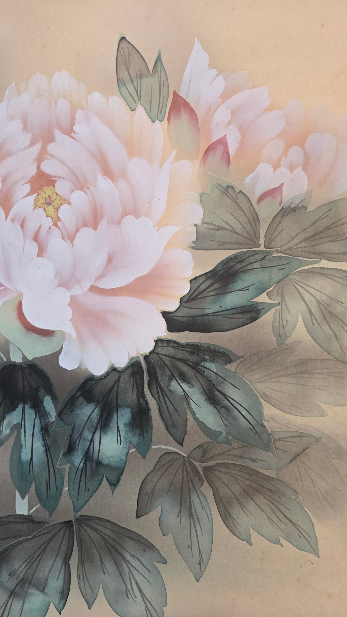 🌸 Kakejiku japonais ancien « Botan » (牡丹) – Pivoines roses et bambou, avec sa boîte d’origine