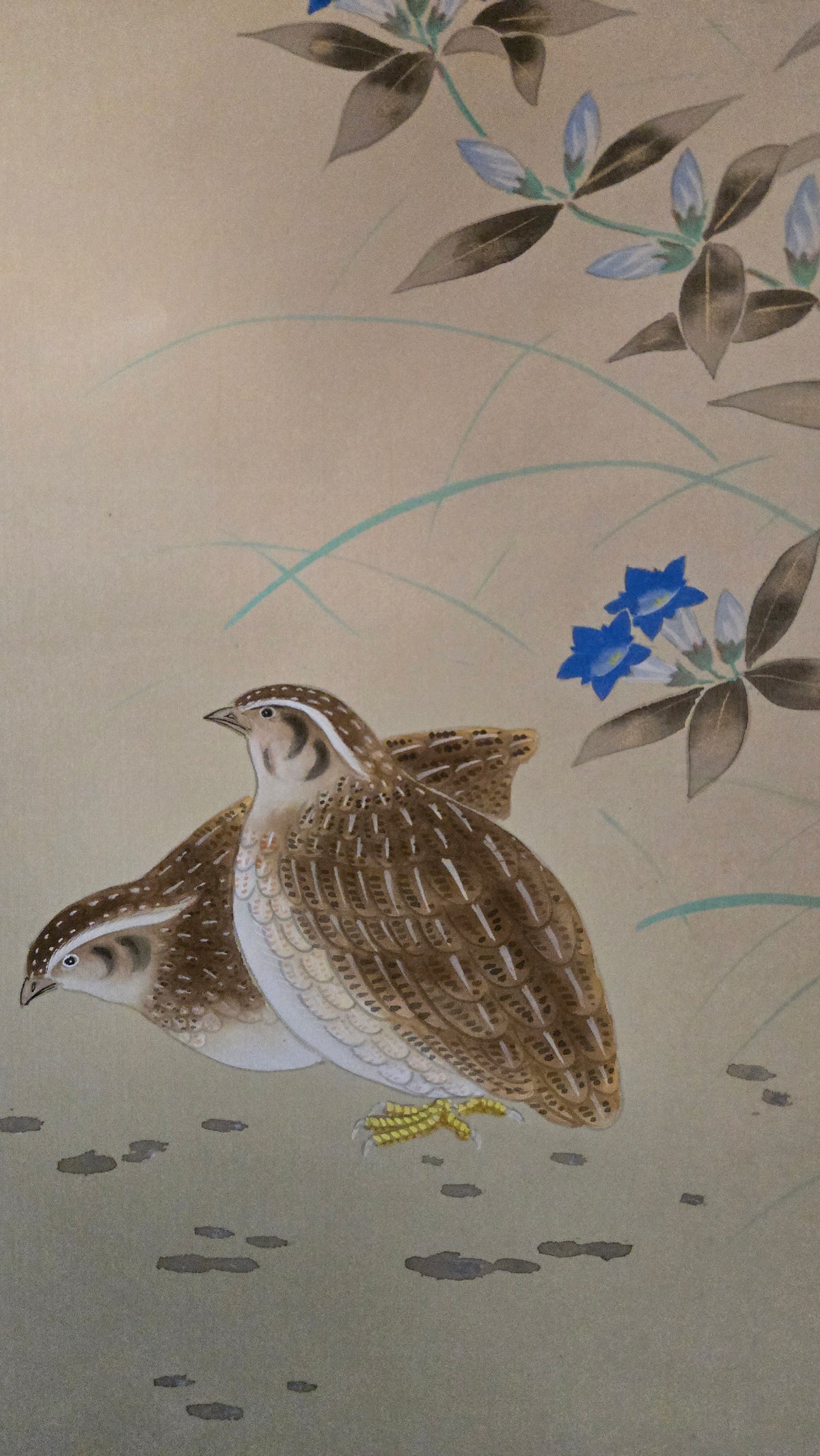 🍂 Kakejiku ancien : cailles, gentianes et feuilles d’érable en automne, peinture sur soie signée, avec sa boîte