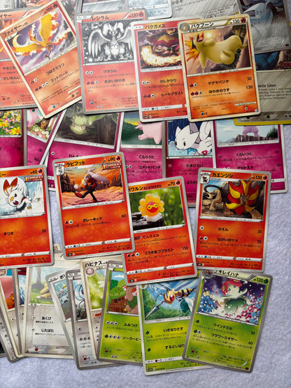 Lot de 50 cartes pokemon japonaises communes